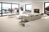 Плитка Argenta Ceramica HARDY CALM 120x40 зображення 1