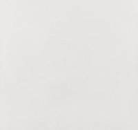 Плитка Argenta Ceramica HARDY WHITE RC 60x60