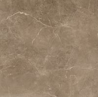 Плитка Cerama Market PULPIS MOKA 80x80