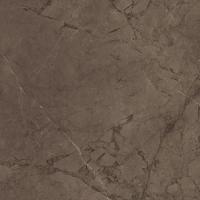 Плитка CERAMICA DESEO ESS GALES BROWN 608x608