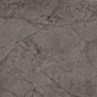 Плитка CERAMICA DESEO ESS GALES DARK 608x608