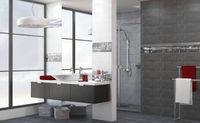 Плитка Ceramika Konskie Amsterdam graphite 20x50 изображение 1
