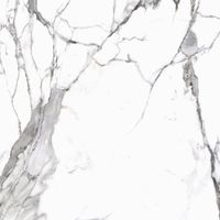 Плитка Cerrad GRES CALACATTA WHITE SATYNA 120x120