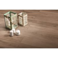 Плитка Cerrad ORION Oro 20x120