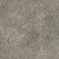 Плитка Cerrad Rapid grys 60x60