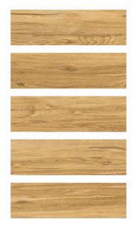 Плитка Cersanit ASPENWOOD BEIGE 18,5X59,8 G1