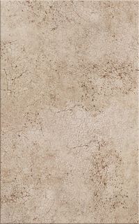 Плитка Cersanit BINO BROWN 25X40