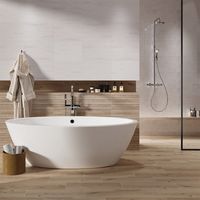 Плитка Cersanit BROOKE WOOD STRUCTURE 30X45 G1 зображення 1