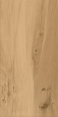 Плитка Cersanit GILBERTON BEIGE 29,8X59,8
