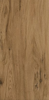 Плитка Cersanit GILBERTON BROWN 29,8X59,8