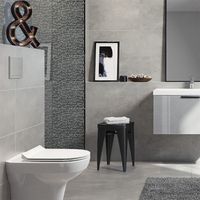 Плитка Cersanit NORMANDIE DARK GREY 29,7X59,8 изображение 1