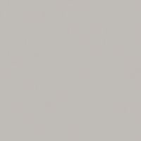 Плитка ECOCERAMIC TECHNIC CENIZA 20x20
