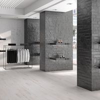 Плитка El Molino Luminor Plata изображение 1