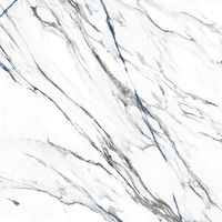 Плитка Geotiles Oikos Blue Pol 60x60