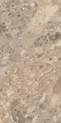 Плитка Kerama Marazzi Ирпина DL503000R