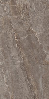 Плитка Kerama Marazzi Парнас SG809502R