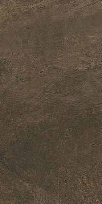 Плитка Kerama Marazzi Про Стоун DD200200R