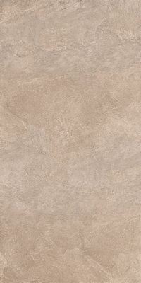 Плитка Kerama Marazzi Про Стоун DD500100R