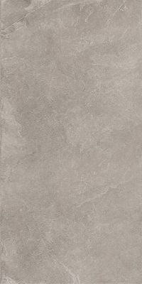 Плитка Kerama Marazzi Про Стоун DD500200R