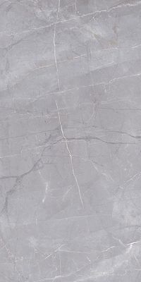 Плитка Kerama Marazzi Bridge SG560700R