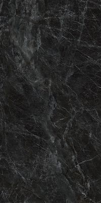 Плитка Kerama Marazzi Bridge SG592502R