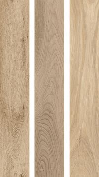 Плитка Kerama Marazzi Селект Вуд SG350600R