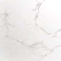 Плитка керамограніт для підлоги CASA CERAMICA SPIDER SATUARIO 80x80