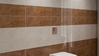 Плитка Opoczno BRIO BROWN STRUCTURE 20X60 зображення 3
