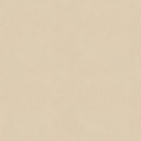 Плитка Opoczno OPTIMUM CREAM 119,8X119,8 G1