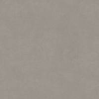 Плитка Opoczno OPTIMUM Grey 79,8X79,8 G1