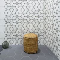 Плитка Oset Corola Grey Hex 20х24 изображение 10