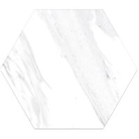 Плитка Oset Neo White Hex 20х24