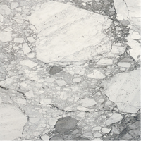 Плитка Pamesa Ceramica CR ILLUSION SNOW LEVIGLASS 75х75