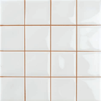Плитка Pamesa Ceramica KX. RLV5. FORMENTERA WHITE 20x20
