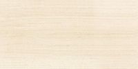 Плитка Paradyz Meisha Bianco 30х60