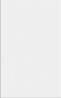 Плитка Paradyz Neve Bianco Polished 25х40