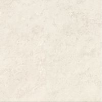 Плитка Prissmacer GWENDAL PLATINO 60.8х60.8