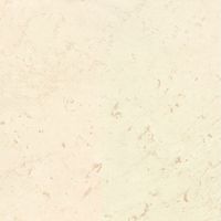 Плитка Prissmacer GWENDAL TITANIO 60.8х60.8