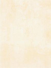Плитка Rako Patina WATKB230 бежевий