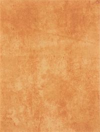 Плитка Rako Patina WATKB231 теракотовий
