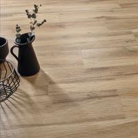 Плитка STN CERAMICA BLAZE HAYA 23х120 изображение 1