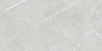Плитка Tau Ceramica Elite Silver Pul 60x120
