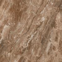 Плитка Teo Ceramics Bruno brown F P 60x60 RN Mat