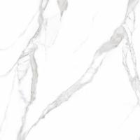 Плитка Teo Ceramics Carrara White F P Mat 60x60 зображення 2