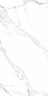 Плитка Teo Ceramics Carrara White F P R Full lappato 60x120 зображення 3