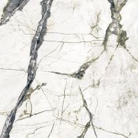 Плитка Zeus Ceramica CALACATTA VERDE ZRXCC4BR 60x60