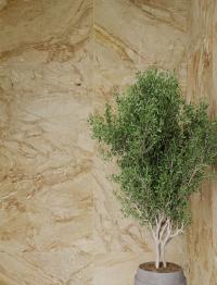 Плитка Zeus Ceramica FIERA DEL MARMO DAINO REALE ZRXFM31BR 60x60 зображення 6