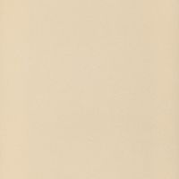 Плитка Zeus Ceramica SPECTRUM AVORIO ZRM1BR