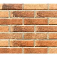 Плитка Paradyz SCANDIANO ROSSO ELEWACJA 24,5X6,6 G1