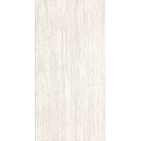 Плитка Zeus Ceramica SILK Rectified ZNXP41R